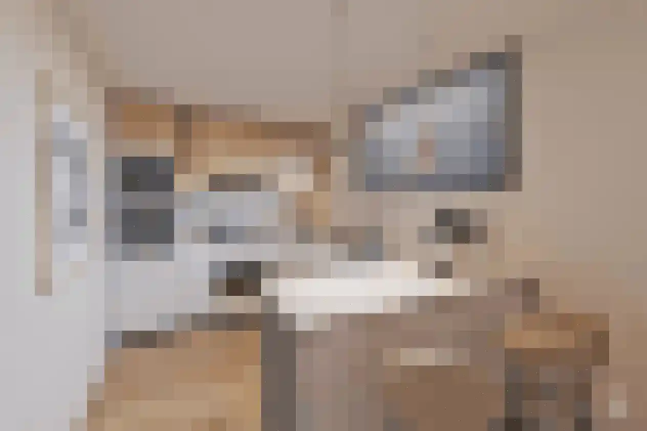 Noordstraat 18 Hoek thumbnail 9