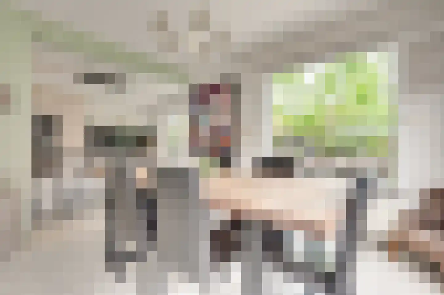 Noordstraat 18 Retranchement thumbnail 11