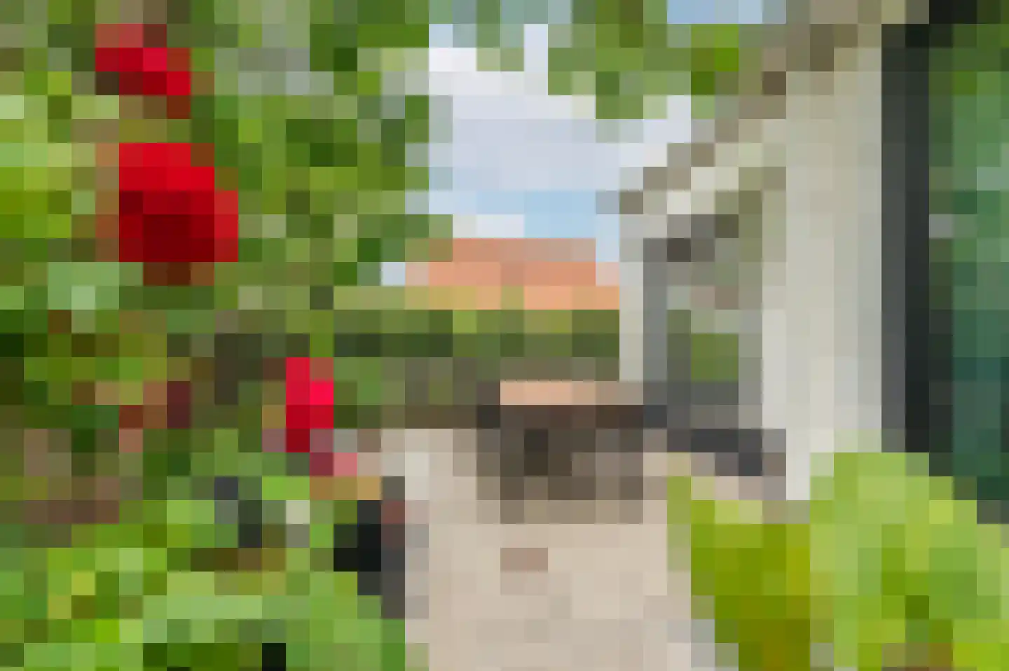 Noordstraat 18 Retranchement thumbnail 15