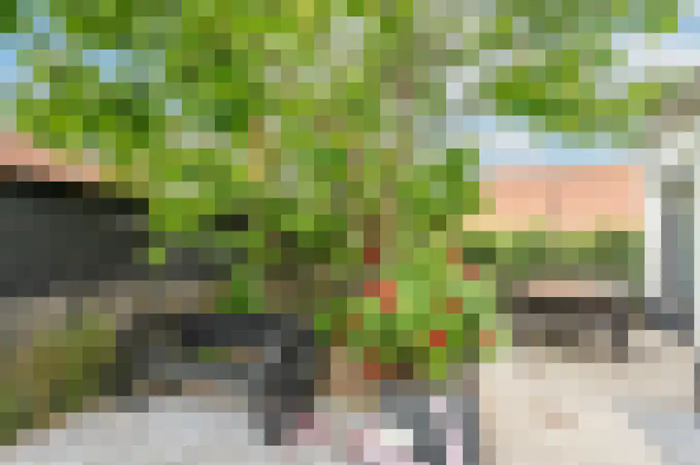 Noordstraat 18 Retranchement thumbnail 18