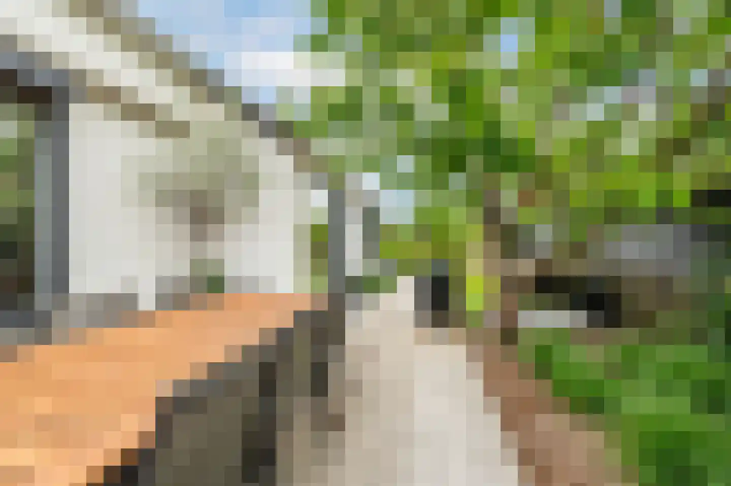 Noordstraat 18 Retranchement thumbnail 25