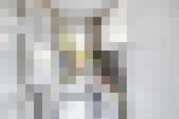 Noordstraat 19 Poortvliet thumbnail 14