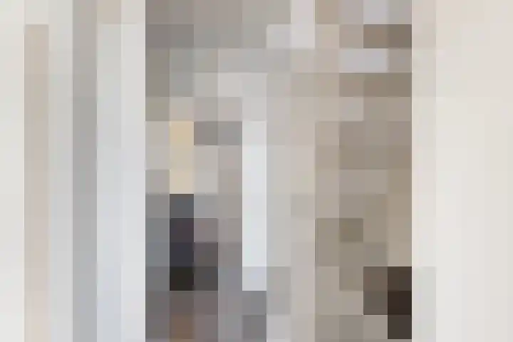 Noordstraat 19 Poortvliet thumbnail 15