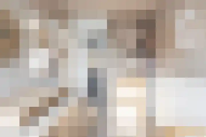 Noordstraat 19 Poortvliet thumbnail 20