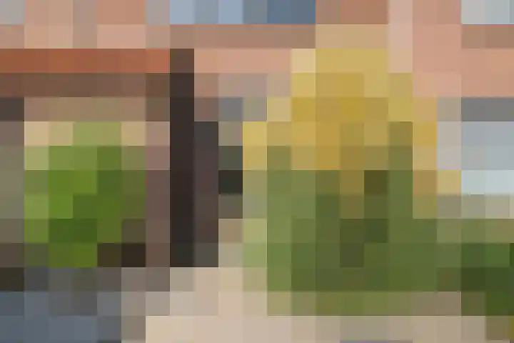 Noordstraat 19 Poortvliet thumbnail 7