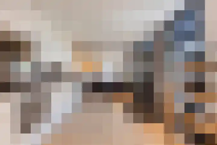 Noordstraat 2 Kapelle thumbnail 10