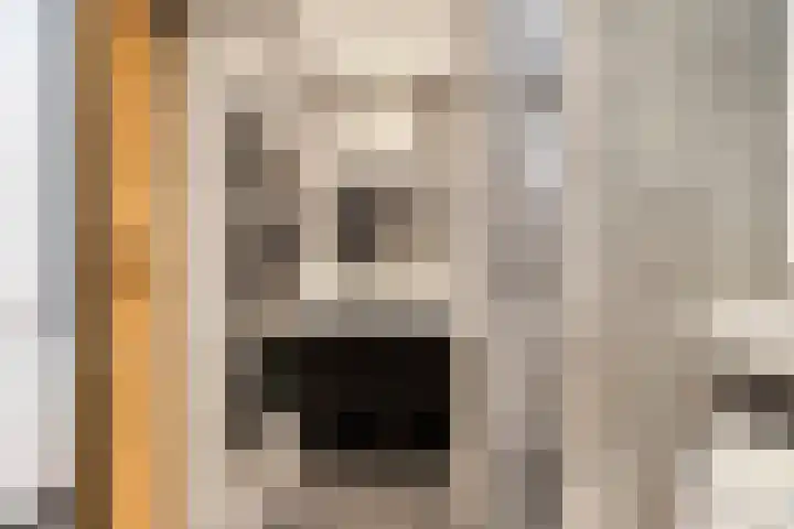 Noordstraat 2 Kapelle thumbnail 11