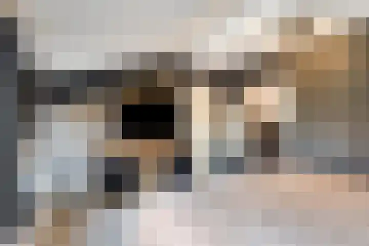 Noordstraat 2 Kapelle thumbnail 15