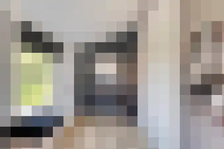 Noordstraat 2 Kapelle thumbnail 17