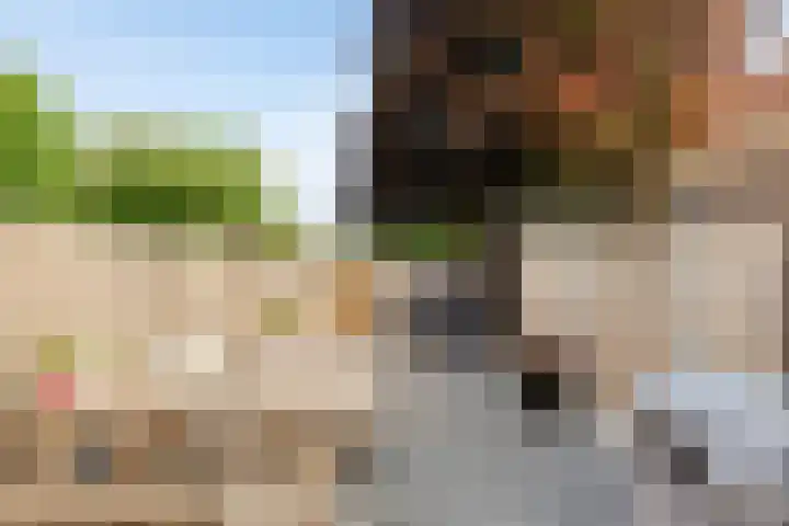 Noordstraat 2 Kapelle thumbnail 21