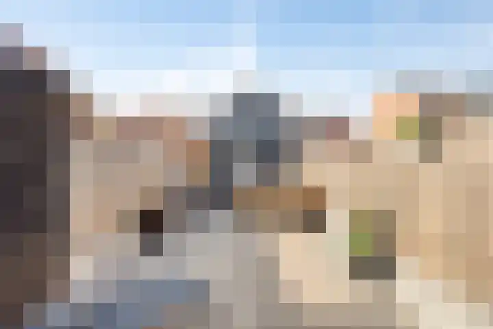 Noordstraat 2 Kapelle thumbnail 22