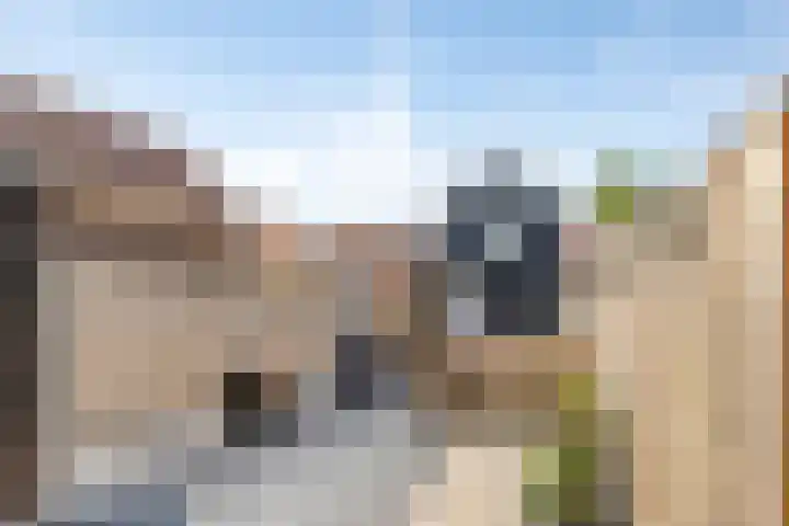 Noordstraat 2 Kapelle thumbnail 23