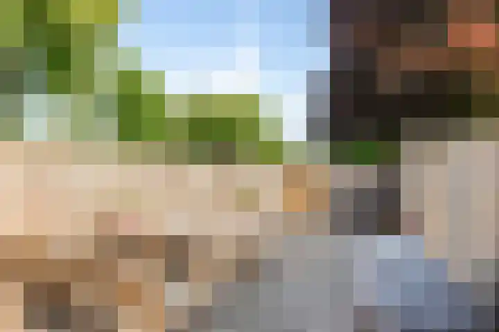 Noordstraat 2 Kapelle thumbnail 24