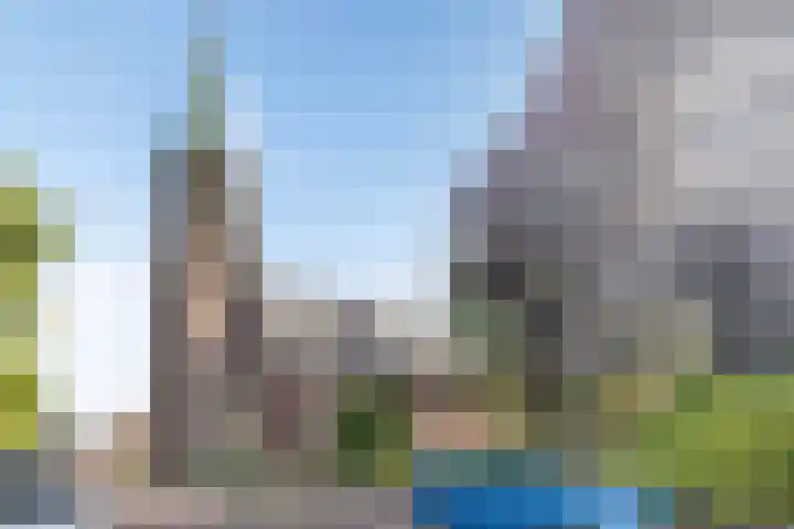 Noordstraat 2 Kapelle thumbnail 26