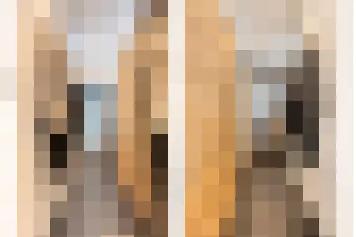 Noordstraat 2 Kapelle thumbnail 4