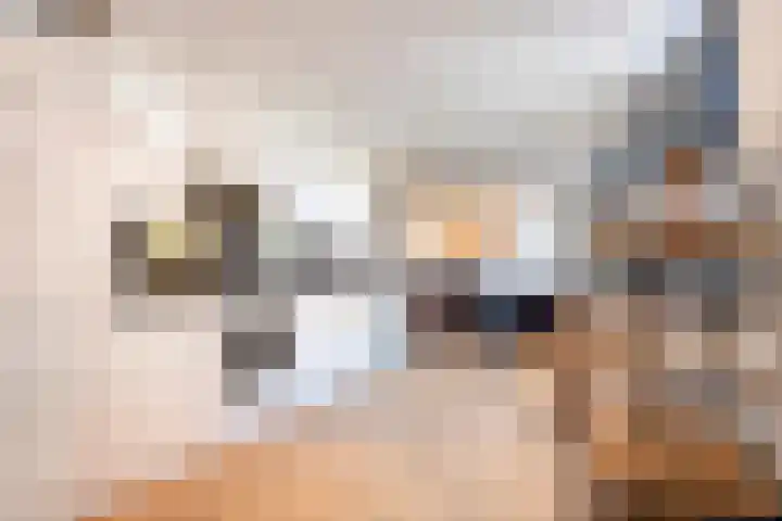 Noordstraat 2 Kapelle thumbnail 9