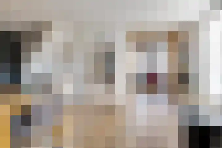Noordstraat 2 Poortvliet thumbnail 11
