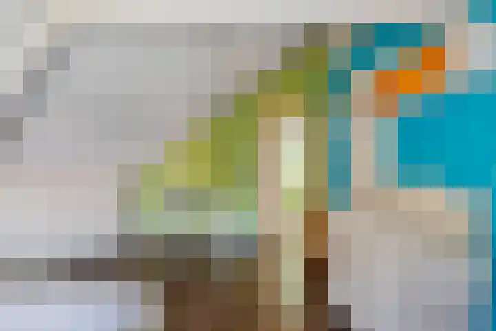 Noordstraat 2 Poortvliet thumbnail 16
