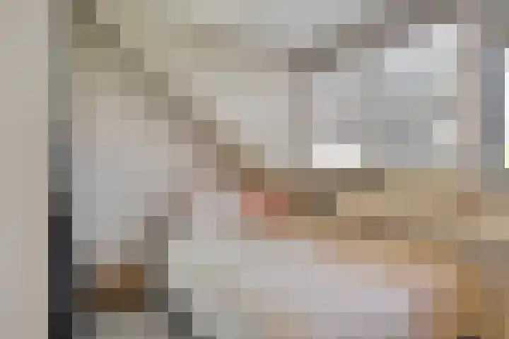 Noordstraat 2 Poortvliet thumbnail 18