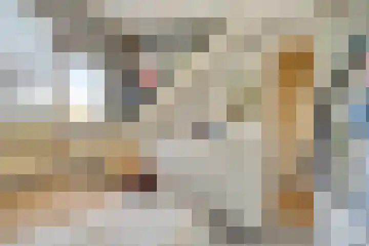 Noordstraat 2 Poortvliet thumbnail 19