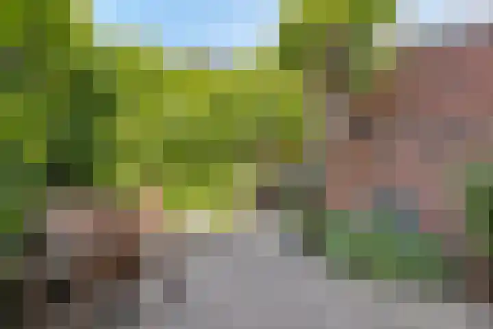 Noordstraat 2 Poortvliet thumbnail 21