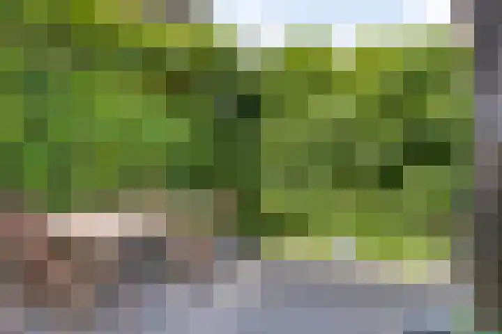 Noordstraat 2 Poortvliet thumbnail 22