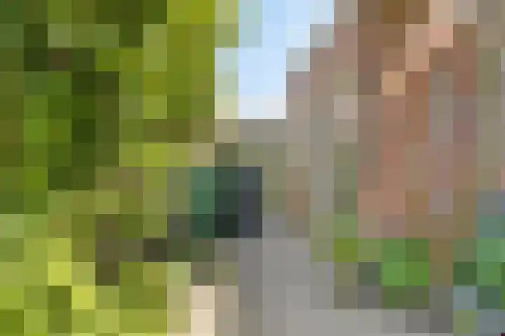 Noordstraat 2 Poortvliet thumbnail 24