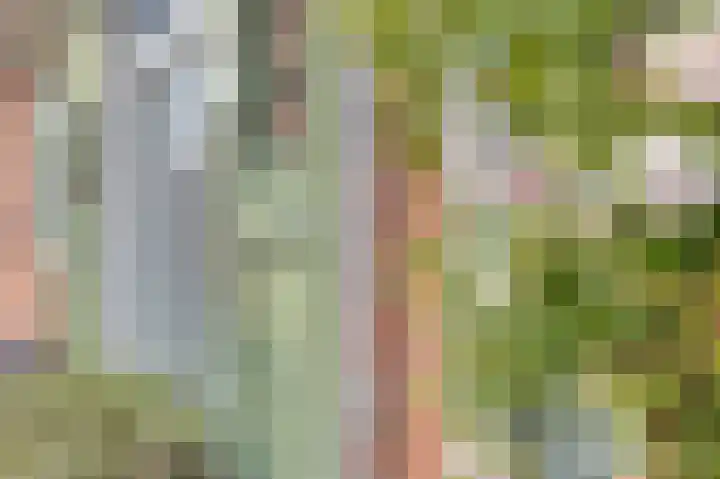 Noordstraat 2 Poortvliet thumbnail 25