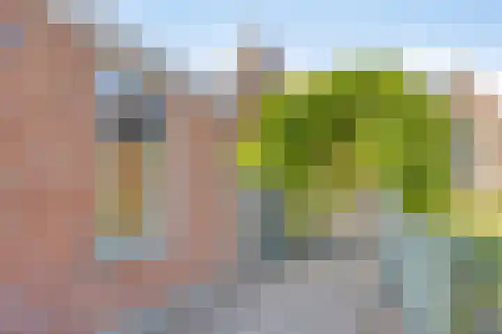 Noordstraat 2 Poortvliet thumbnail 26