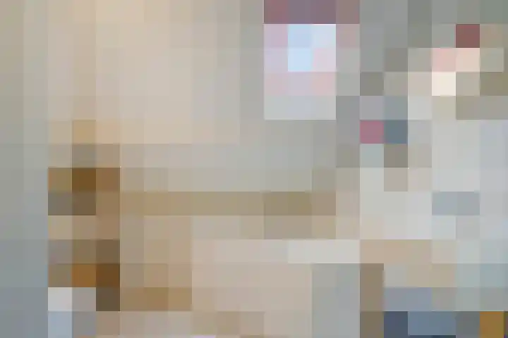 Noordstraat 2 Poortvliet thumbnail 5