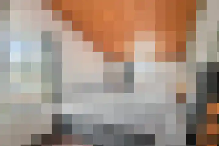 Noordstraat 20 Hoek thumbnail 17