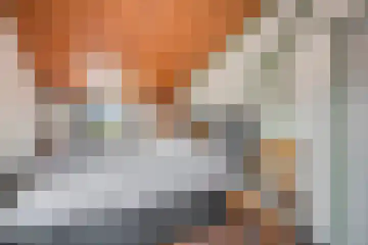 Noordstraat 20 Hoek thumbnail 18