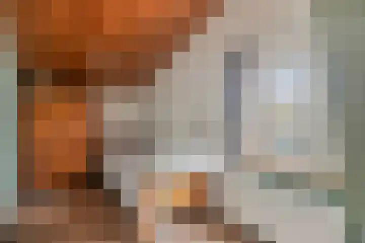 Noordstraat 20 Hoek thumbnail 21