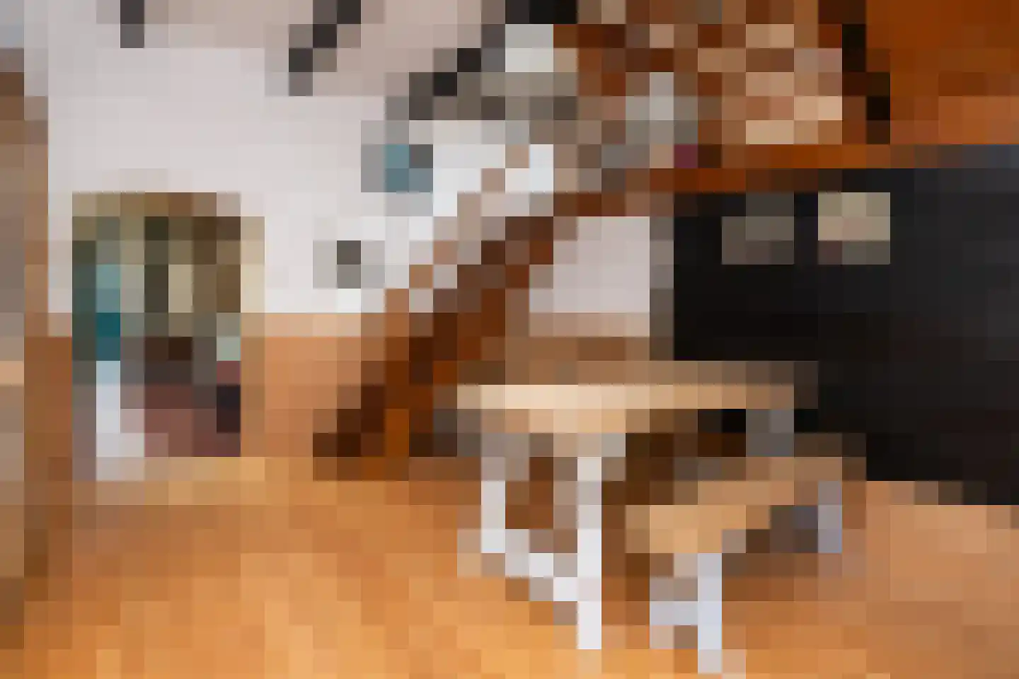 Noordstraat 20 Scherpenisse thumbnail 10