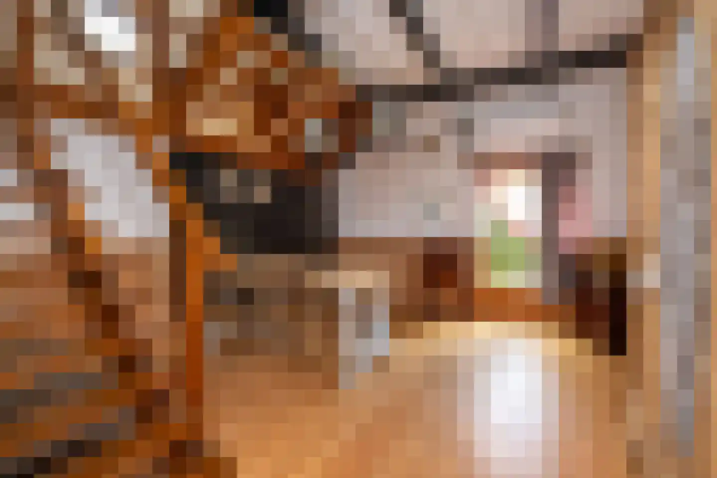 Noordstraat 20 Scherpenisse thumbnail 11