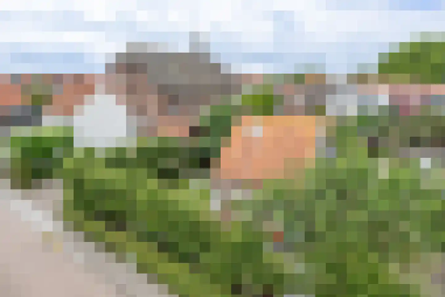 Noordstraat 20 Scherpenisse thumbnail 12