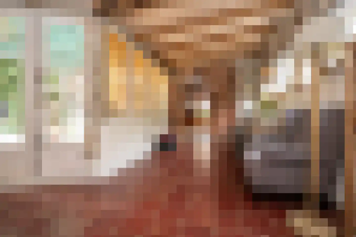 Noordstraat 20 Scherpenisse thumbnail 12
