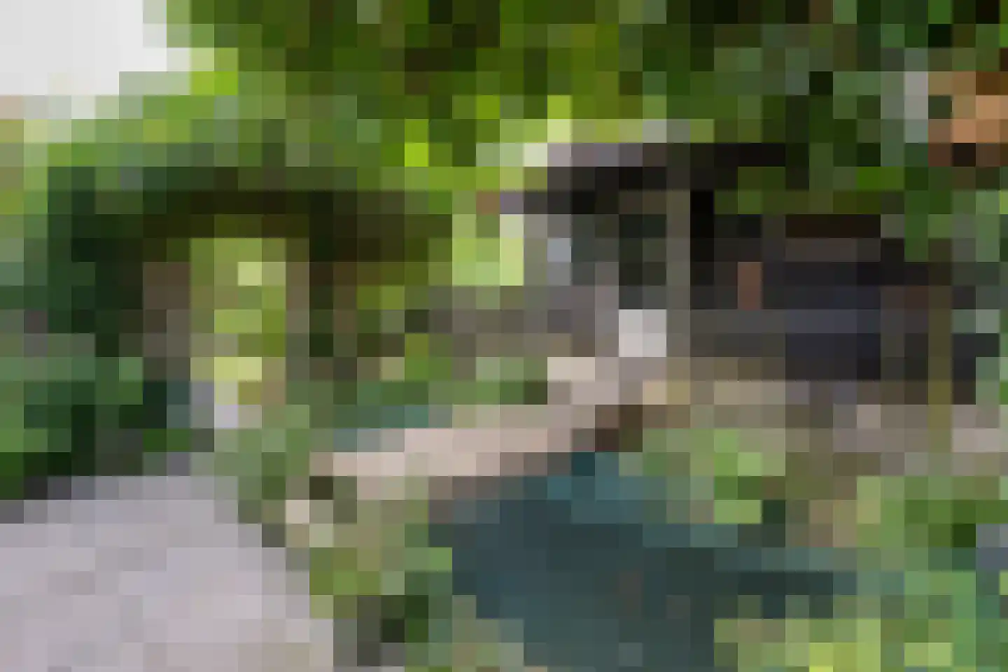 Noordstraat 20 Scherpenisse thumbnail 15