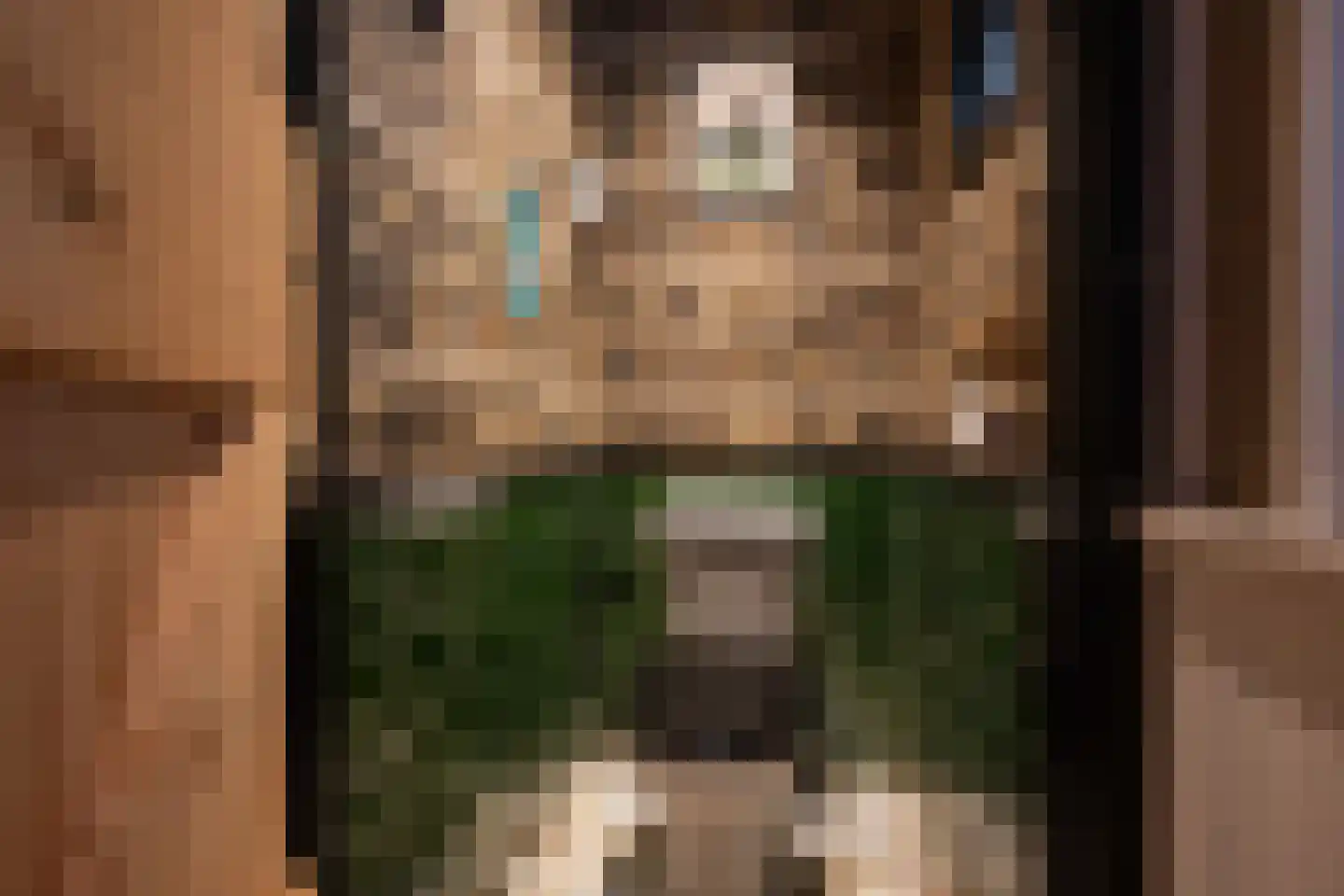 Noordstraat 20 Scherpenisse thumbnail 19