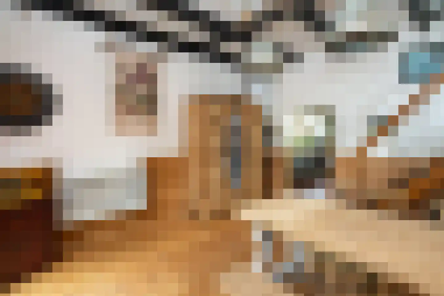 Noordstraat 20 Scherpenisse thumbnail 20