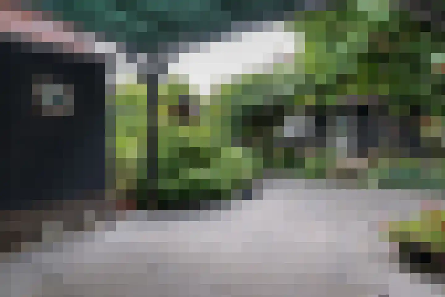 Noordstraat 20 Scherpenisse thumbnail 22