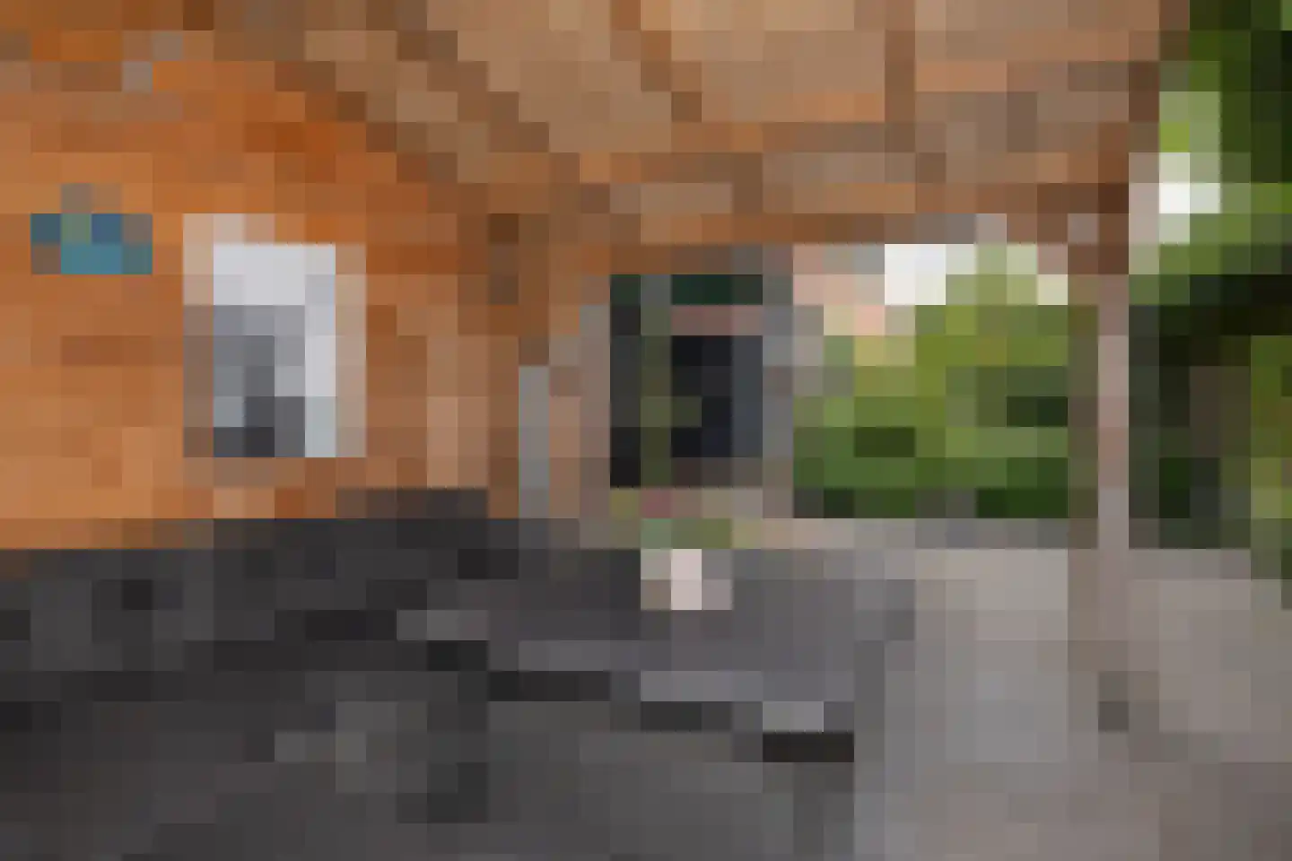 Noordstraat 20 Scherpenisse thumbnail 24