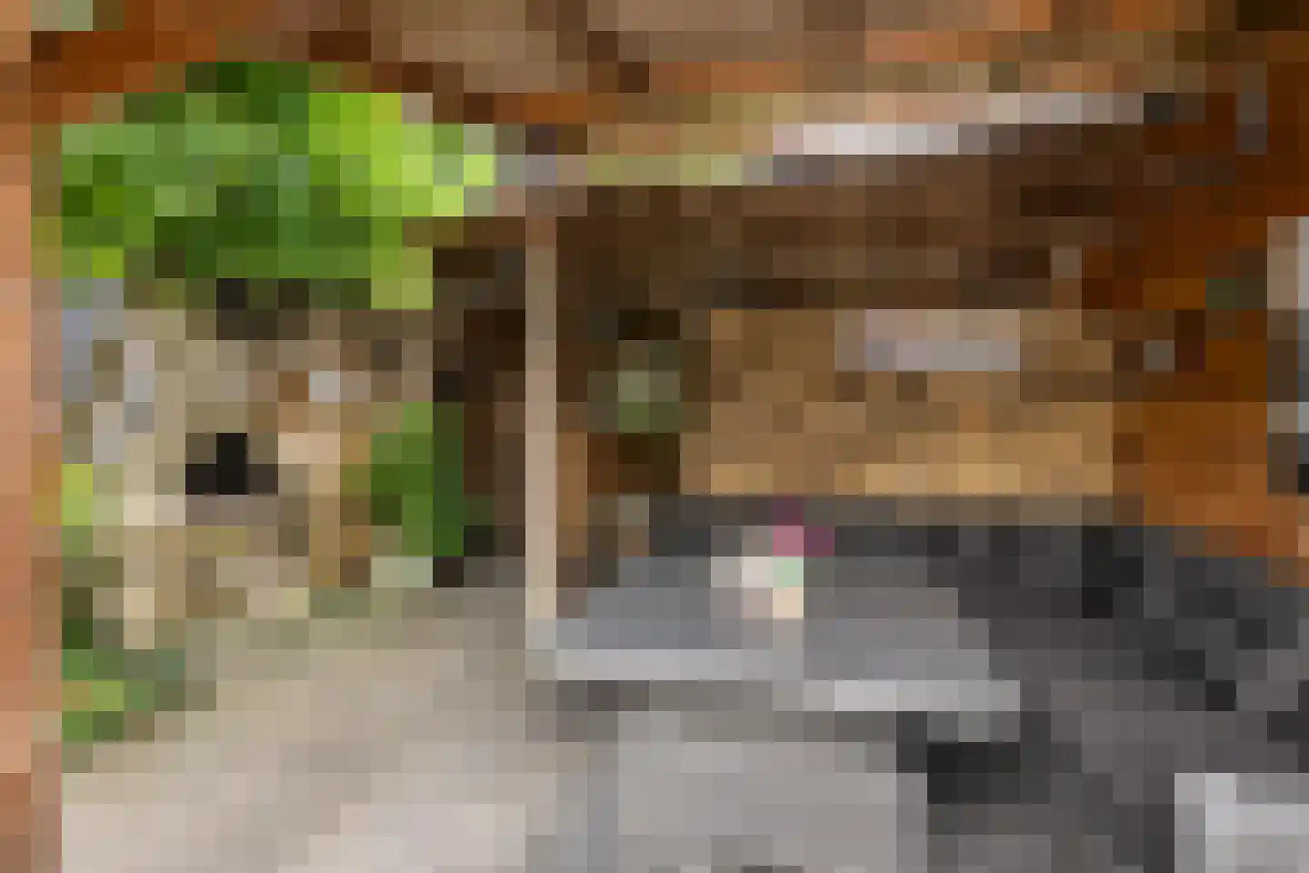 Noordstraat 20 Scherpenisse thumbnail 25