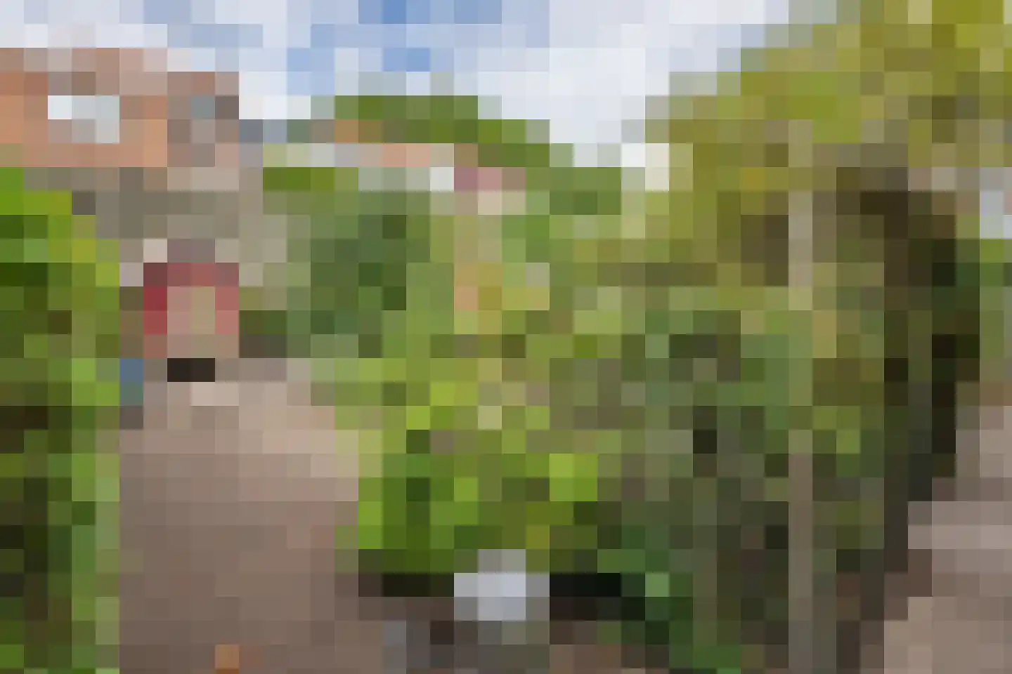 Noordstraat 20 Scherpenisse thumbnail 30