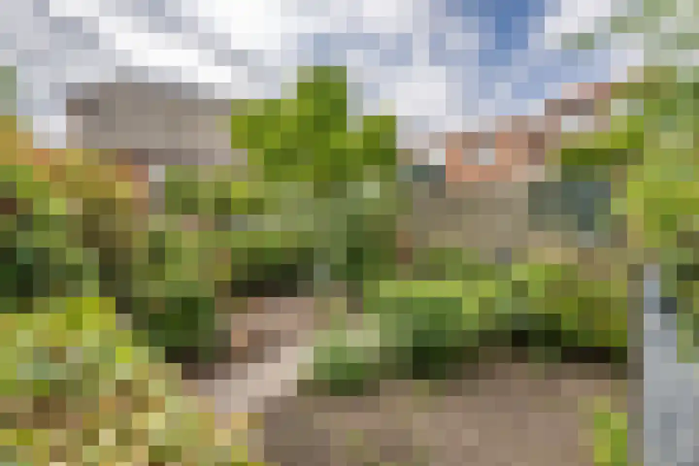 Noordstraat 20 Scherpenisse thumbnail 31