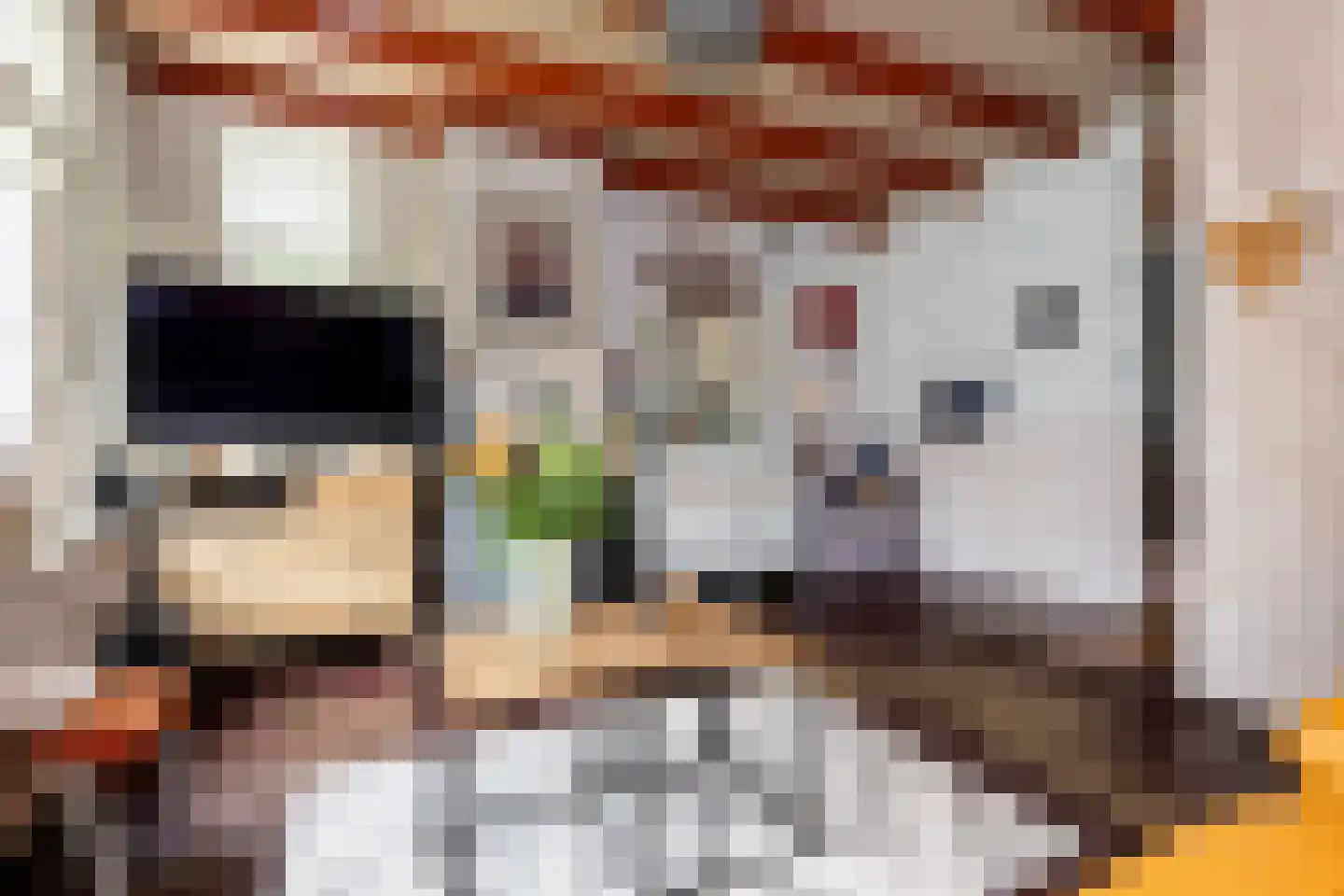 Noordstraat 20 Scherpenisse thumbnail 6