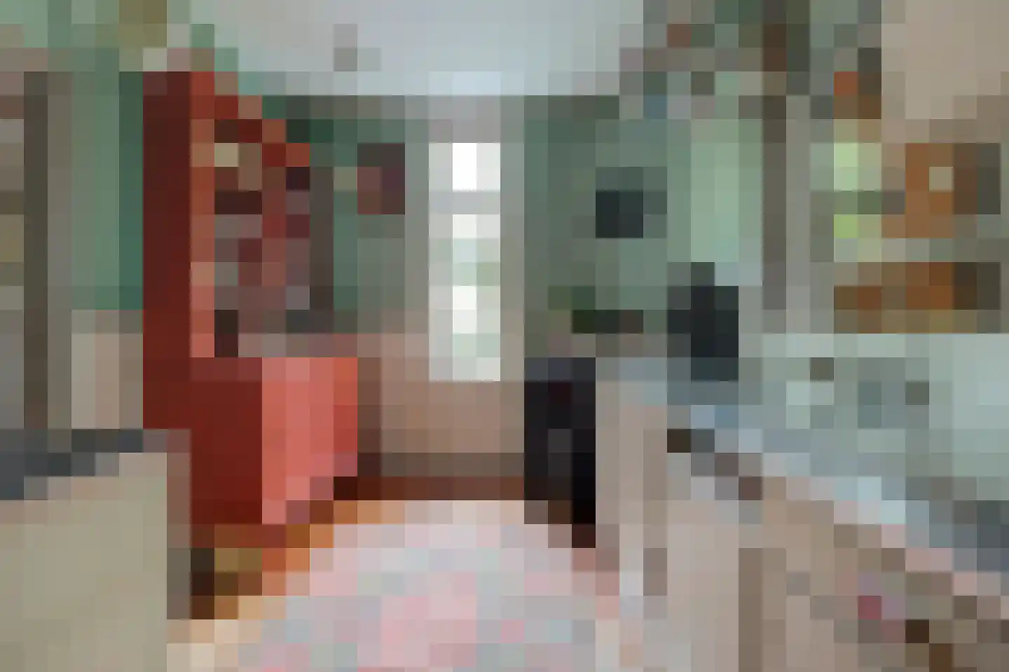 Noordstraat 20 Scherpenisse thumbnail 7