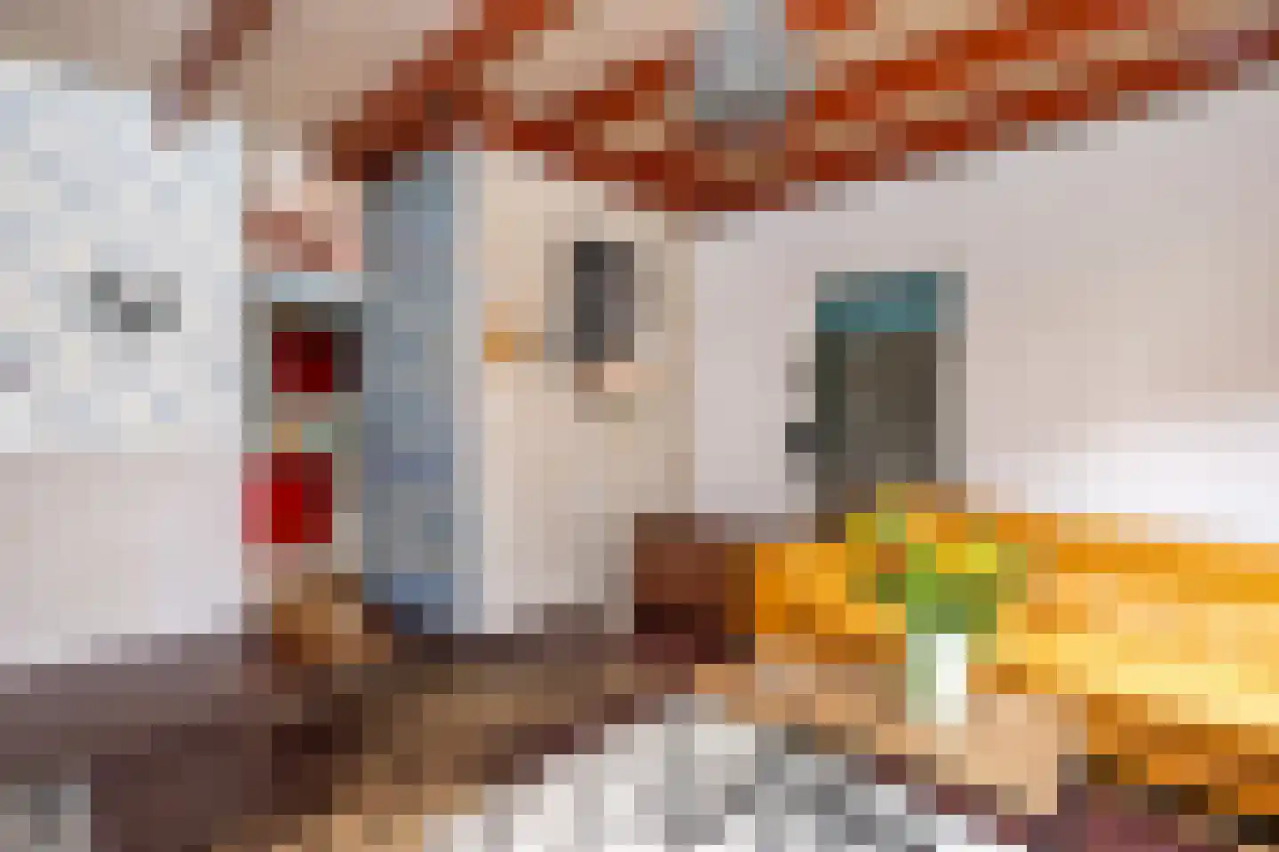 Noordstraat 20 Scherpenisse thumbnail 8