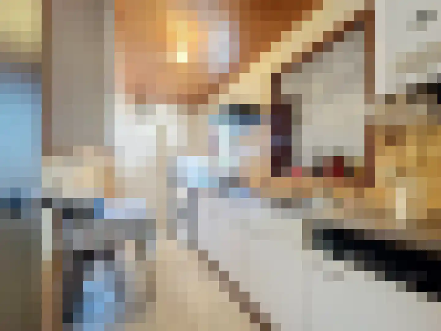 Noordstraat 21 Biervliet thumbnail 9