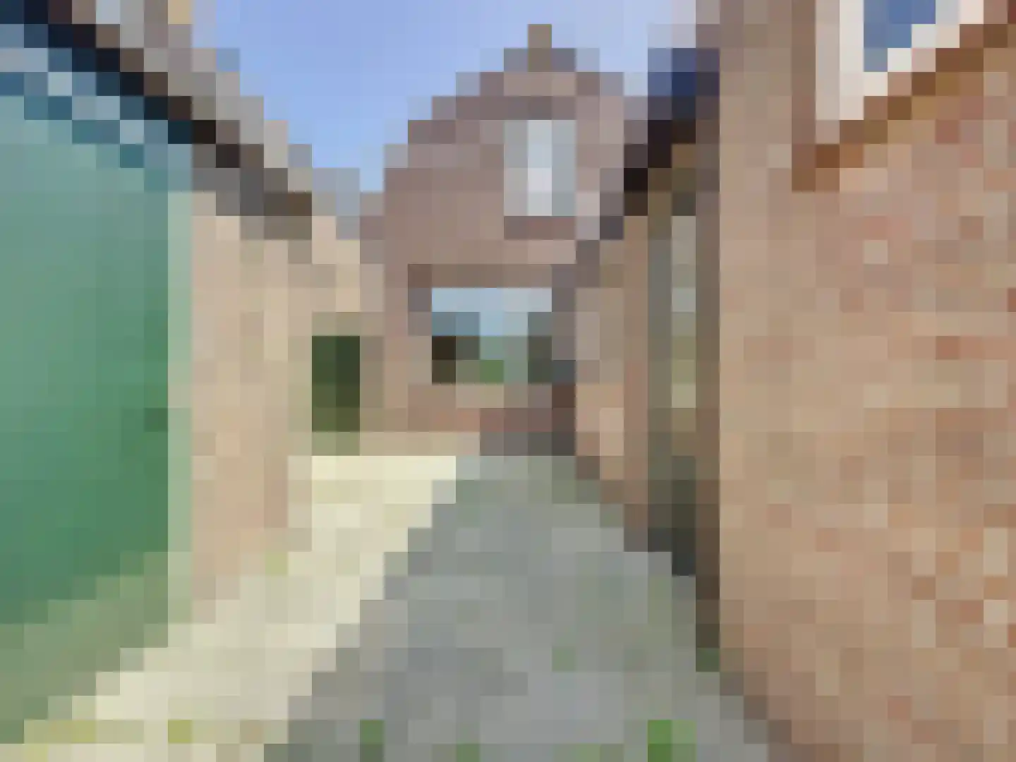 Noordstraat 21 Biervliet thumbnail 11